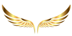 Premium Vtc Toulouse